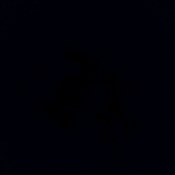 Profile Picture of Rosie Trautman (@rosie_trautman) on Poshmark