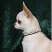 Profile Picture of Bobbie Harper (@bobbieharper688) on Youtube