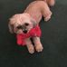 Profile Picture of Paul Pressman (@paul.pressman.165) on Facebook