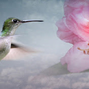 Gil Feliciano - Youtube Profile Picture of Gil Feliciano (@gilfeliciano4503) on Youtube