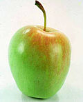 Profile Picture of Anna (apple)on Wikipedia