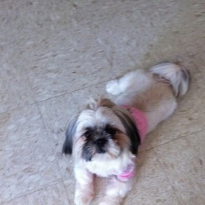 Profile Picture of Carlene Foster (@cpalm1253) on Twitter