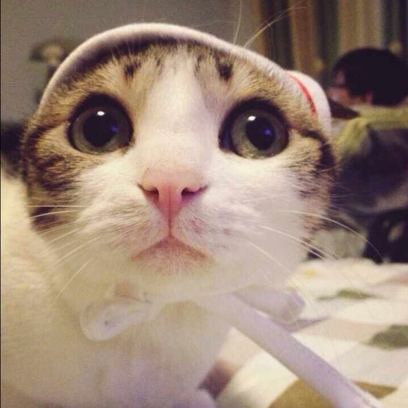 Profile Picture of Ivy Lu (@ivyyyyyylll) on Poshmark