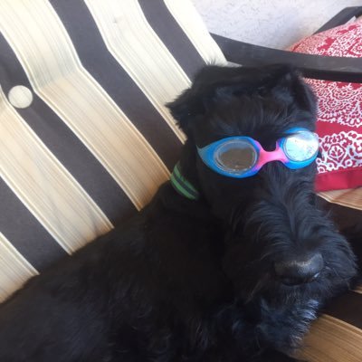 Profile Picture of Clare Friedman (@ClareFriedman1) on Twitter