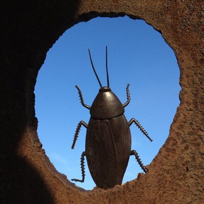 Profile Picture of Joel Roach (@bugjar95) on Twitter