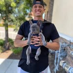 Profile Picture of Ben Alexander (@Ben-Alexander) on Facebook