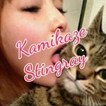 Profile Picture of Steve Irwin's tiddies (@kamikaze_stingray) on Instagram