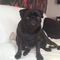 Profile Picture of Lisa Bloomfield (@lisa.bloomfield.127) on Facebook