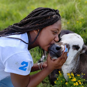 Profile Picture of Benjamin Haynes (@GracelandFarms75778) on Youtube