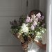 Profile Picture of Isabella sharp (@isabellashrp) on Pinterest