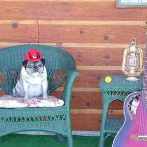 Profile Picture of Karen Mills (@karen.mills8) on Myspace