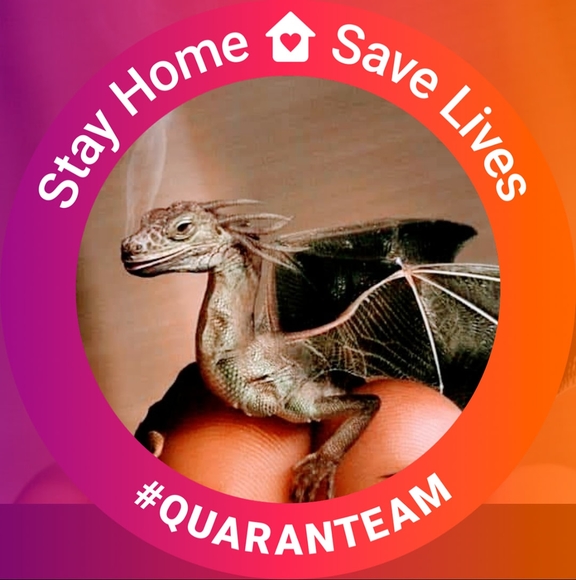 Profile Picture of Linda Moncreiffe-campbell (@dragonmaiden5) on Poshmark