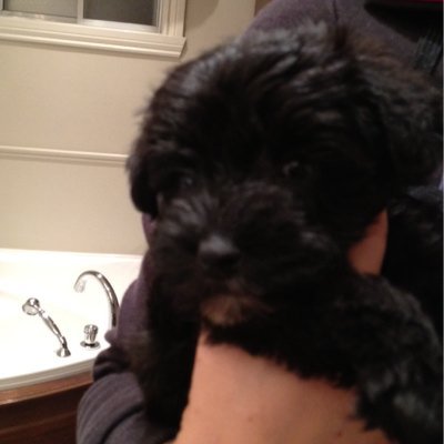Profile Picture of Williamcalderone (@william42545061) on Twitter