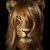 Profile Picture of Céline André (@celineandre908) on Pinterest