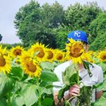 Profile Picture of Colin Crume (@colinmania) on Instagram