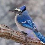 Profile Picture of Jim Cheney (@cheney_jim) on Instagram
