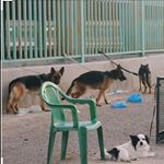 Profile Picture of Friday  Market Genocide (@fridaymarketgenocide) on Instagram