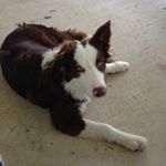 Profile Picture of Brian Dalziel (@brian.dalziel) on Instagram