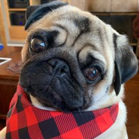 Profile Picture of Meredith Marks (@meredith-marks-6) on Quora