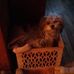 Profile Picture of Lola Yoder (@lola.yoder.967) on Facebook