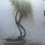 Profile Picture of Dennis Gao (@dennisgao_) on Instagram