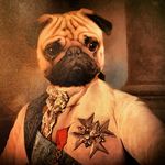 Profile Picture of Benjamin Bdn (@benjamin_simon.bodin) on Instagram