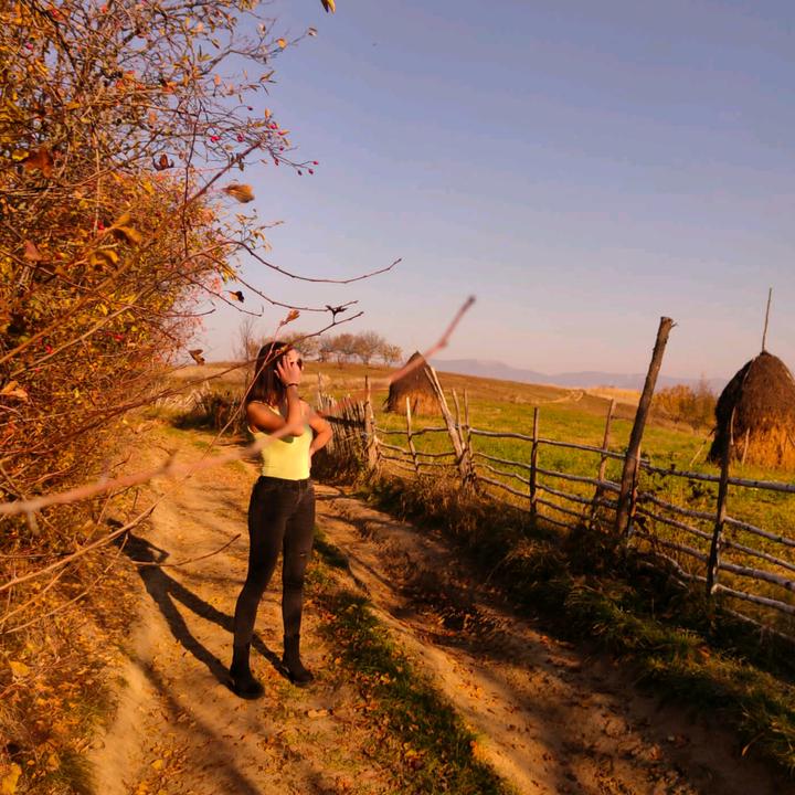 Profile Picture of Aurora Sint (@aurorasint) on Tiktok
