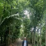 Profile Picture of John Rey Apolonio (@john.rey.apolonio.348633) on Facebook