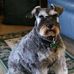 Profile Picture of Charles Maness (@charles.maness.75) on Facebook