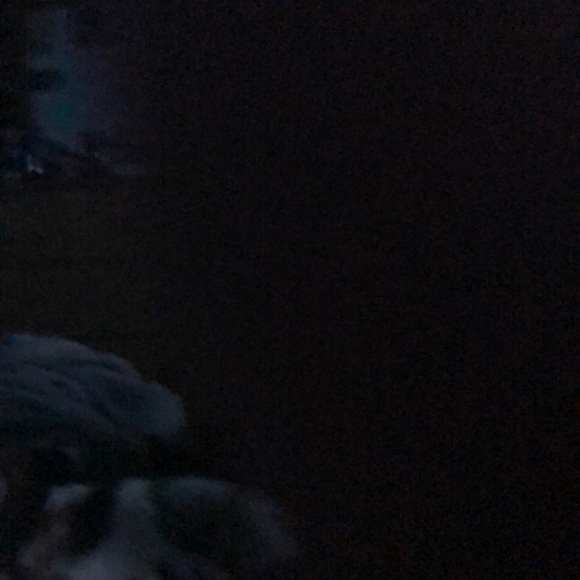 Profile Picture of Abby Addison (@abby10572) on Poshmark