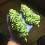 Profile Picture of Jason Canada (@jason_c.a.n.a.d.a) on Instagram