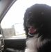 Profile Picture of Jeff Hartsoch (@jeff.hartsoch.98) on Facebook