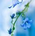 Profile Picture of Marilyn Sipe (@marilyn.sipe.52) on Facebook
