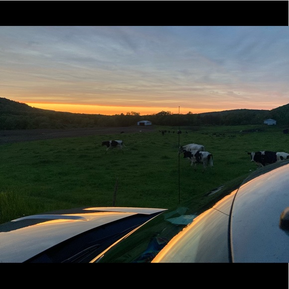 Profile Picture of Zac Schoepflin (@zacschoepflin) on Poshmark