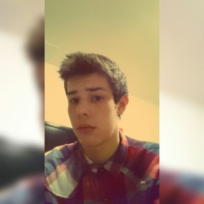 Profile Picture of David Holub (@iinnos) on Twitter