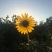 Profile Picture of Sharon Peoples (@sharon.peoples.142) on Facebook