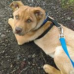 Profile Picture of Austin Phillips (@austinxobssessionx) on Instagram