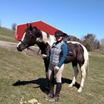 Paula Allyn Tilquist - Instagram Profile Picture of Paula Allyn Tilquist (@paulatilquist) on Instagram