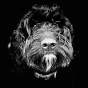 Profile Picture of Tim Massey (@timmassey5160) on Youtube