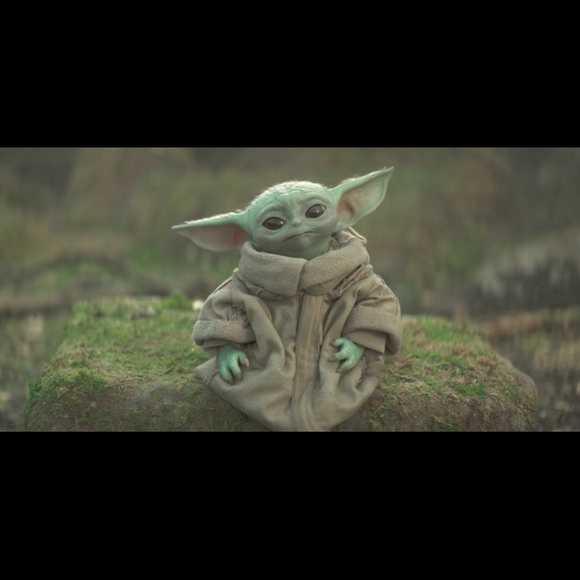 Kristin Rohr - Poshmark Profile Picture of Kristin Rohr (@kristin_rohr) on Poshmark