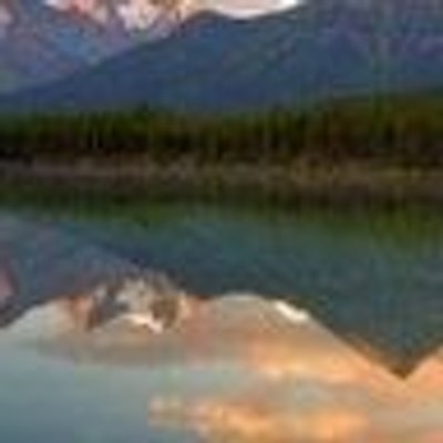 Profile Picture of Donna Andrews (@donnaandrews431) on Twitter