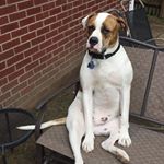 Profile Picture of Bob Diers (@weldon_1366__cordell) on Instagram