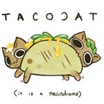 Profile Picture of Thomas Ridenhour (@tacocat_01) on Instagram