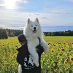 Profile Picture of Jonas Andersson (@jonasone) on Instagram