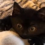 Profile Picture of Tyler Nate (@Tyler-Nate) on Facebook