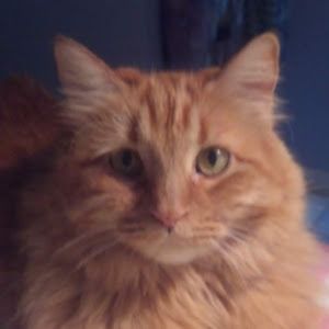 Profile Picture of Janet Vetter (@janet.vetter0) on Tiktok