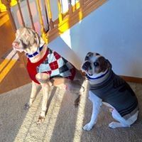 Profile Picture of Adam Hinrichs (@adamh1759) on Pinterest