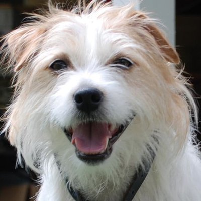 Profile Picture of Minnie Mouse (@MMinsway) on Twitter