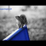 Profile Picture of Timothy Hale (@getyourimages.com_) on Instagram