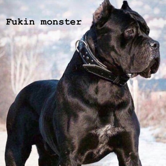 Profile Picture of James Keller (@jjkeller5525) on Poshmark